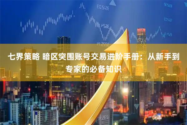 七界策略 暗区突围账号交易进阶手册：从新手到专家的必备知识