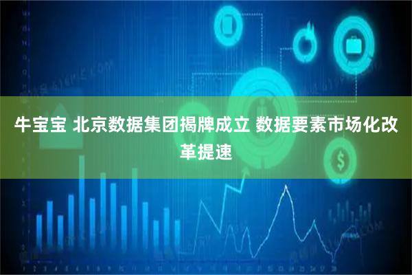 牛宝宝 北京数据集团揭牌成立 数据要素市场化改革提速