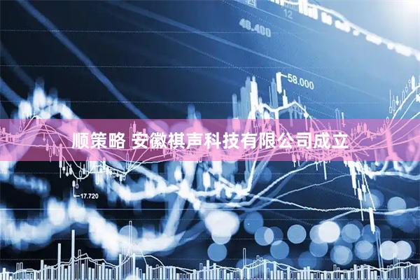 顺策略 安徽祺声科技有限公司成立