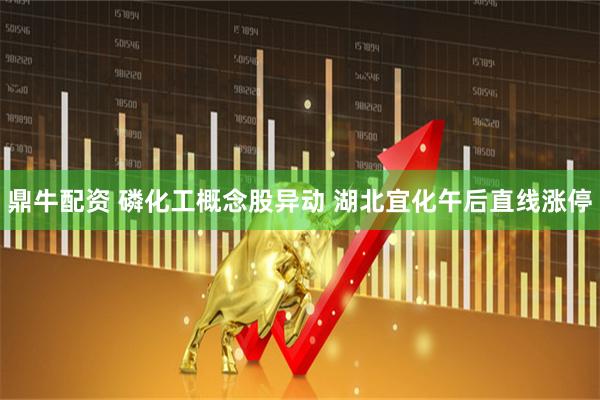鼎牛配资 磷化工概念股异动 湖北宜化午后直线涨停